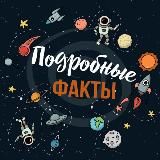 Подробные Факты💡