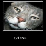 Motya chat