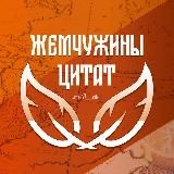 Жемчужины цитат