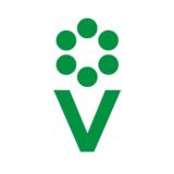 Процветок чат