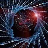 Распознай |Психология лжи