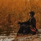 увядшая листва