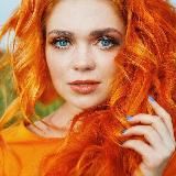 ЗАПИСКИ СЕТЕВИКА