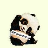 PandachamS