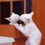 Я принимаю себя!