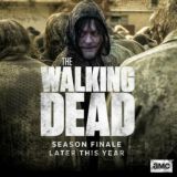 🎬 THE WALKING DEAD HD SERIES️