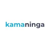 Kamaninga об SMM