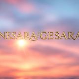 Nesara Gesara Corporation (NGC)