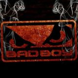 BaD BoY CluB 161-й регион