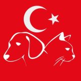 Турция с питомцем (собака, кошка и проч)