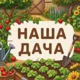 Наша дача