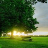 🅼🅰️🆂🆃🅴🆁🆂 🅾️🅵 🅵🅾️🆁🅴🆇 🆆🅾️🆁🅻🅳🚀