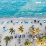 •• C E Y L O N ✓ ™ ☘️ 🍁