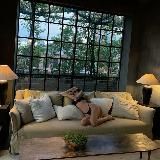 лунный свет