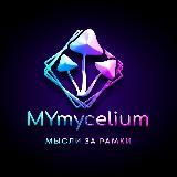 MYmycelium - мухомор, ежовик, кордицепс