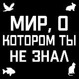 Удивительные факты про мир животных