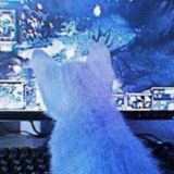 songs /|\ парные авы и многое другое..💙