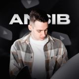 ANSIB