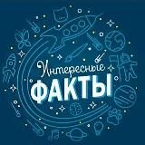 Интересные факты