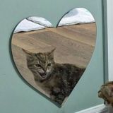 ведёрко хтони