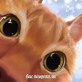 Мемные сливки ฅ^•ﻌ•^ฅ