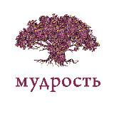 Толдот — мудрость дня