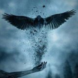 Проверенные боты✌