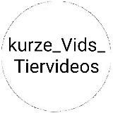 kurze_Vids_Tiervideos