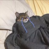 Fuck this life يعم