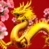 SilkRoad Party_Chat