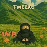 tweeko 🥷 | работаю на складе вб