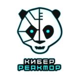 Киберспортивный чат МИФИ