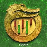 سیگنال رایگان 🐊Crocodile Trade