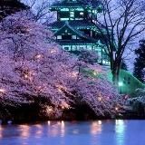 House of creatives💤