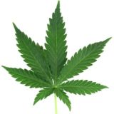 Кури натур, будь человеком! :) г.Красноярск