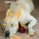 Gruppo aka so (SI MESSAGGIAAA)