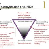 Asexuals talks 4.0