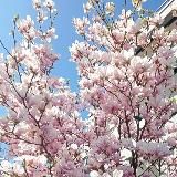 Если Интересно