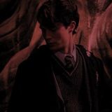 𝙏𝙤𝙢 𝙍𝙞𝙙𝙙𝙡𝙚𓆗