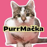 PurrMačka