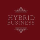 Hybrid business