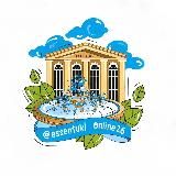 Ессентуки онлайн 26 КМВ