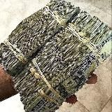 Щоденник Беттера