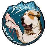 Dogspace.moscow