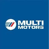 Multimotors | автомобили из Китая