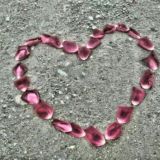 ╠K╣╠r╣╠a╣╠s╣╠a╣╠v╣╠c╣╠h╣╠i╣╠k╣