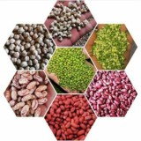 Toshkent BO‘KA SITY DON MAXSULOT TEXNALOGIYA ELEVATOR YASASH 993150074