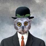 Сыч Человеческий