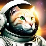 Portraits of astronaut cats