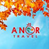 ANOR TRAVEL GROUP